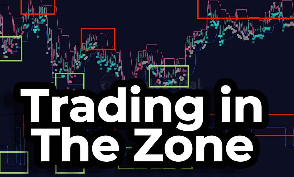 Trading in the zone | How Whaleportal Transforms Trading Psychology for Better Results